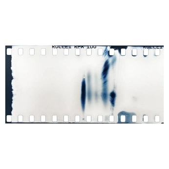 A cover of "Toskovat" cluster. The owner is pennythewise. The cluster consists of 9 elements.