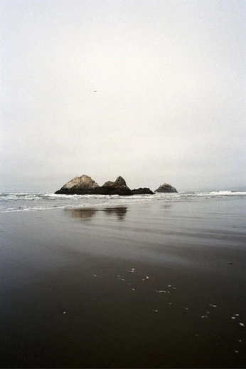 A cover of "nature" cluster. The owner is jacobkoclanis. The cluster consists of 8 elements.