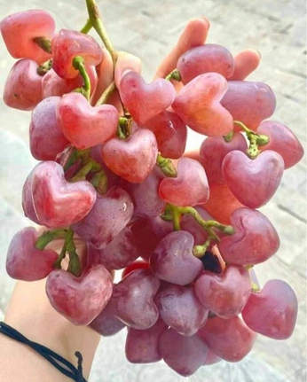 A cover of "natures goodies" cluster. The owner is destiny. The cluster consists of 5 elements.