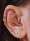 Cover of piercings cluster