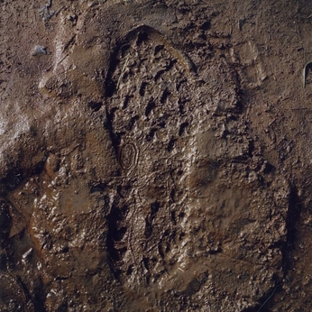 A cover of "muddywall" cluster. The owner is thelanemiller. The cluster consists of 23 elements.