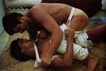 A cover of "narcaiusis" cluster. The owner is livinginarose. The cluster consists of 21 elements.