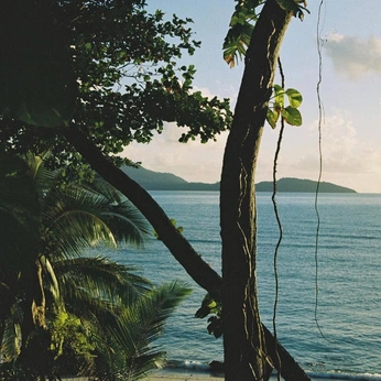 A cover of "Namú 🇨🇷" cluster. The owner is thatsopablo. The cluster consists of 13 elements.