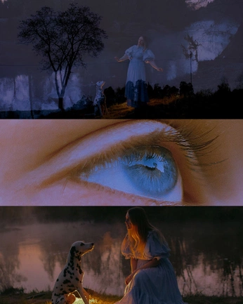 A cover of "Vibe" cluster. The owner is raevenmad. The cluster consists of 4 elements.