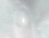 romacastellanos's avatar
