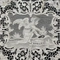 Cover of soliloquy cluster