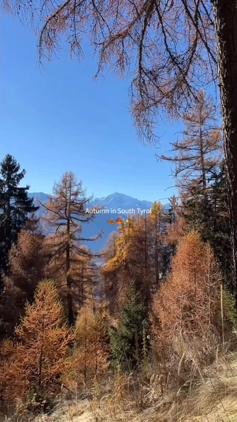 A cover of "Algund" cluster. The owner is jvmimpact. The cluster consists of 9 elements.