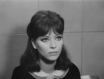 A cover of "mon amour mon ami" cluster. The owner is nelliganne. The cluster consists of 57 elements.