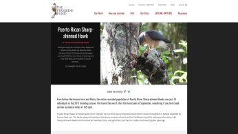 A cover of "A7 research and ref" cluster. The owner is raviolii. The cluster consists of 17 elements.