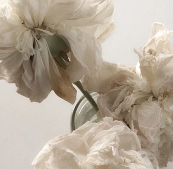 A cover of "spoty" cluster. The owner is kseniiq. The cluster consists of 1 element.