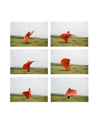 A cover of "inspo" cluster. The owner is giuliacampello. The cluster consists of 115 elements.