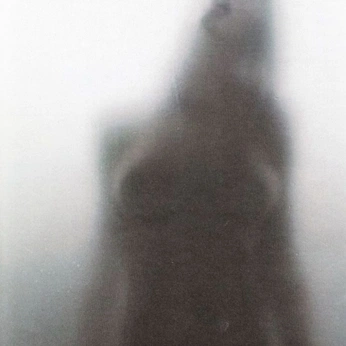 A cover of "mood, desires & taste" cluster. The owner is giancarlo. The cluster consists of 222 elements.