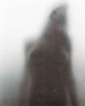 A cover of "soft, wet woman" cluster. The owner is thelover. The cluster consists of 59 elements.