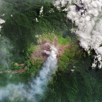 A cover of "this is my feels" cluster. The owner is anastasiapro. The cluster consists of 255 elements.