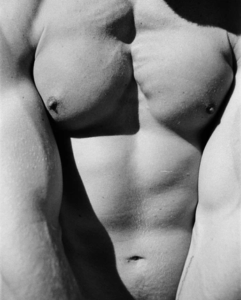 A cover of "suggestive" cluster. The owner is gmilltests. The cluster consists of 204 elements.