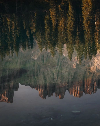 A cover of "taiga" cluster. The owner is rapira21. The cluster consists of 6 elements.