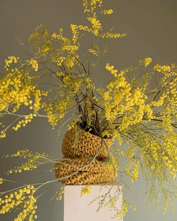 A cover of "Flora" cluster. The owner is thepixiecreative. The cluster consists of 1 element.