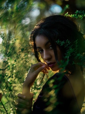 A cover of "Madison photos" cluster. The owner is bluepigfilms. The cluster consists of 7 elements.