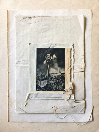 A cover of "Elephants" cluster. The owner is brooklynsky. The cluster consists of 1 element.