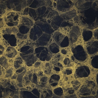 A cover of "Texture" cluster. The owner is undecimo. The cluster consists of 14 elements.