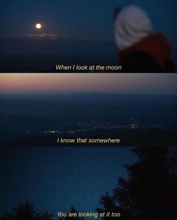 A cover of "Quotes" cluster. The owner is mewig. The cluster consists of 3 elements.