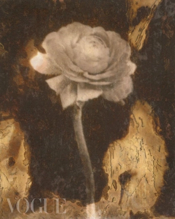 A cover of "Flower" cluster. The owner is himxhuydv. The cluster consists of 9 elements.