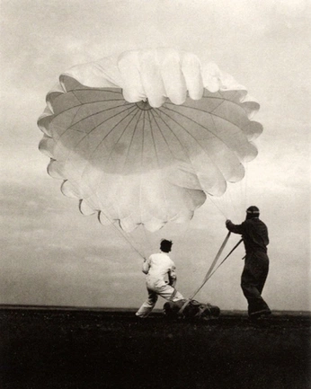 A cover of "자료" cluster. The owner is kimdorazi. The cluster consists of 20 elements.