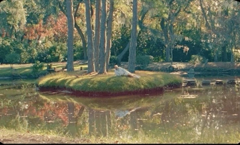 A cover of "Montub2" cluster. The owner is montu22. The cluster consists of 1 element.