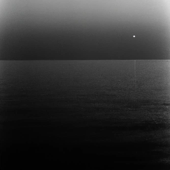 A cover of "Photography" cluster. The owner is seriousvenom. The cluster consists of 206 elements.