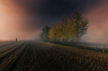 A cover of "landscape" cluster. The owner is mariscleajuwono. The cluster consists of 4 elements.