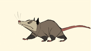 A cover of "Furrry animation" cluster. The owner is akwarkblue. The cluster consists of 1 element.