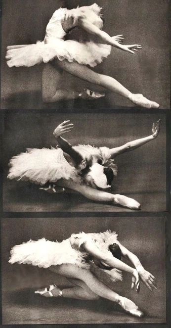 A cover of "Ballerina" cluster. The owner is josssackler. The cluster consists of 11 elements.