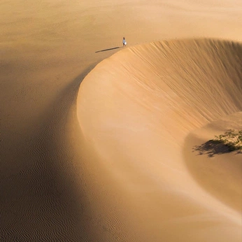 A cover of "arrakis" cluster. The owner is cookiesnscreams. The cluster consists of 25 elements.