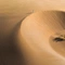 Cover of arrakis cluster