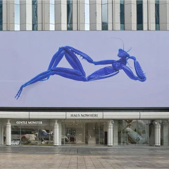 A cover of "EXHIBITION" cluster. The owner is dejavu. The cluster consists of 86 elements.