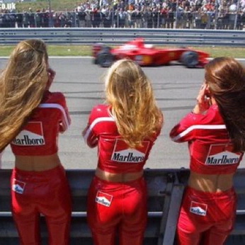 A cover of "Culture And Randomness" cluster. The owner is chuck. The cluster consists of 548 elements.