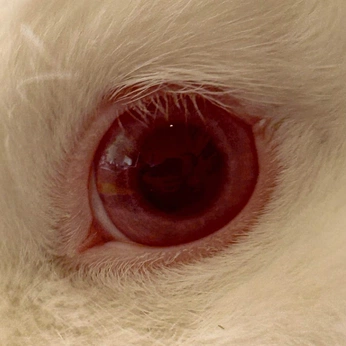 A cover of "virgo in scorpio season" cluster. The owner is vonmerr. The cluster consists of 16 elements.