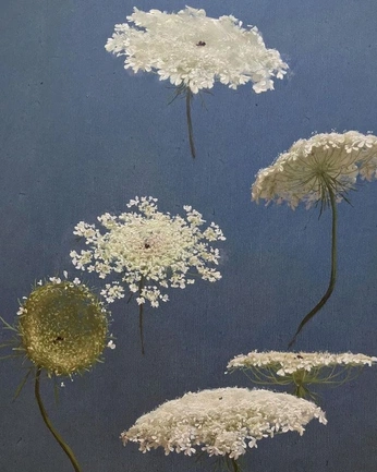 A cover of "ephemeral." cluster. The owner is thestorydoula. The cluster consists of 4 elements.