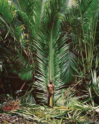 A cover of "afro album" cluster. The owner is dams0301. The cluster consists of 11 elements.