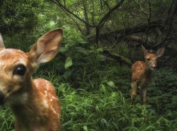 A cover of "alive" cluster. The owner is pavena. The cluster consists of 67 elements.