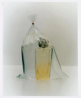 A cover of "Perfume" cluster. The owner is siobhanbrandman. The cluster consists of 2 elements.