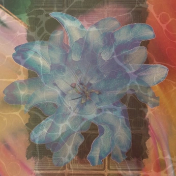 A cover of "Just everything" cluster. The owner is j0hannah. The cluster consists of 417 elements.