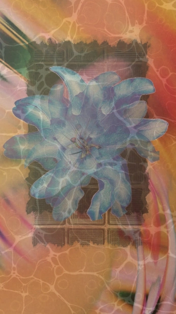 A cover of "wallpaper" cluster. The owner is thyvo. The cluster consists of 13 elements.