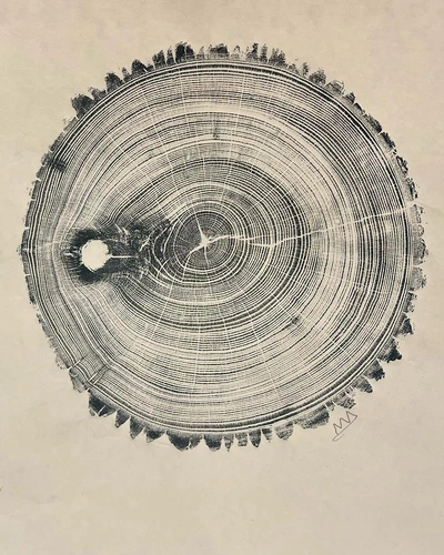 An Instagram carousel post added by annie on Feb 24, 2024. The author is @sapwoodworking.