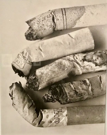 A cover of "STILL LIFE" cluster. The owner is lucasveronese. The cluster consists of 2 elements.