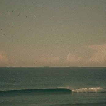 A cover of "“Salt air…”" cluster. The owner is moonkissedlua. The cluster consists of 10 elements.