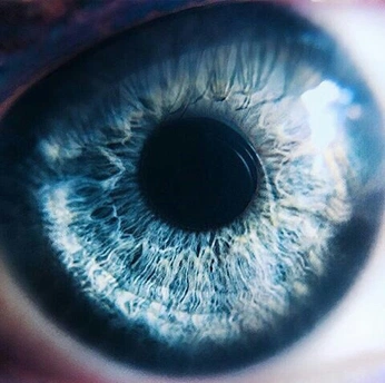 A cover of "Random" cluster. The owner is mollysworld. The cluster consists of 4 elements.