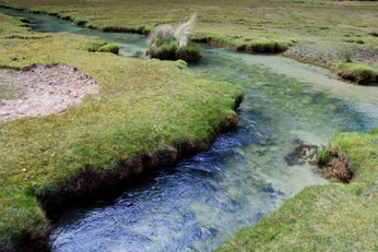 A cover of "july 2025" cluster. The owner is emma.rawr. The cluster consists of 3 elements.