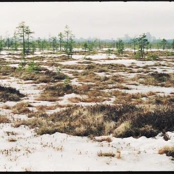 A cover of "Фотоальбом" cluster. The owner is sasha.lopatko. The cluster description is "Документальный фотоархив из экспедиций от Дохи до Малого Турыша ". The cluster consists of 414 elements.