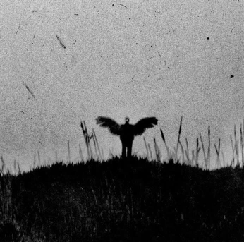 A cover of "Appalachian post" cluster. The owner is klou46. The cluster consists of 9 elements.